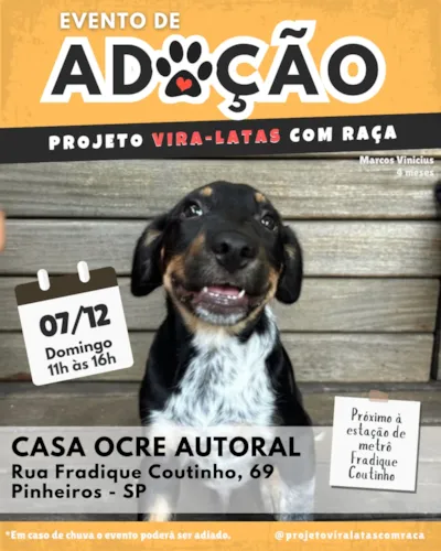Evento de Adoção: Projeto Vira-Latas com Raça