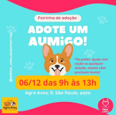 Feirinha de Adoção Pet: Adote um AUmigo!