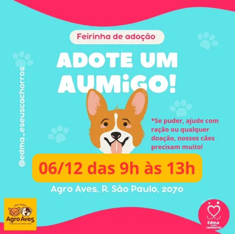 Feirinha de Adoção Pet em Blumenau/SC no dia 06 de dezembro de 2025, das 9h às 13h, na Agro Aves. Adote um amigo e doe.