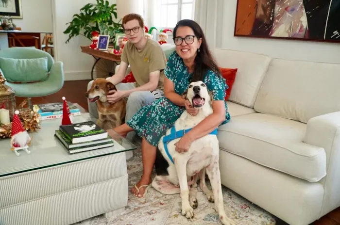 Campanha "Adote um Bom Velhinho" em São Paulo incentiva adoção de animais idosos. Saiba mais sobre os benefícios e como adotar.