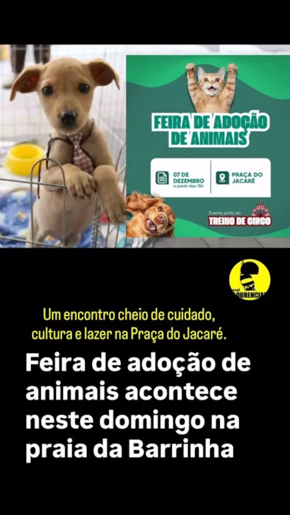 Feira de Adoção de Animais e Treino de Circo na Praça do Jacaré