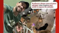 Professor aluga casa para abrigar cães e gatos abandonados em Cariacica, ES. Mais de 40 animais esperam por adoção. Conheça e ajude!