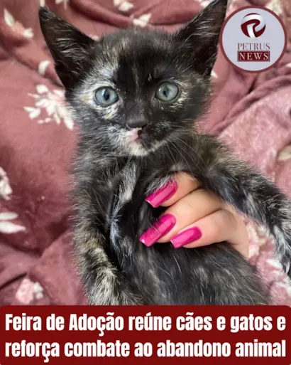 Feira de Adoção de Cães e Gatos em Caxias do Sul no dia 07 de dezembro. Adote com responsabilidade e ajude no combate ao abandono animal. Saiba mais sobre os requisitos e como ajudar.