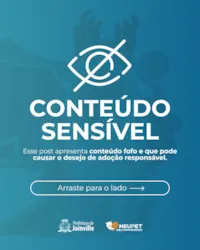 Alerta de conteúdo fofo: Adote um amigo! Pets do CBEA disponíveis para adoção responsável em Joinville. Baixe o app Joinville Fácil para adotar.