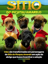 Adoção de Filhotes Inspirada no Sítio do Picapau Amarelo em Caxias do Sul