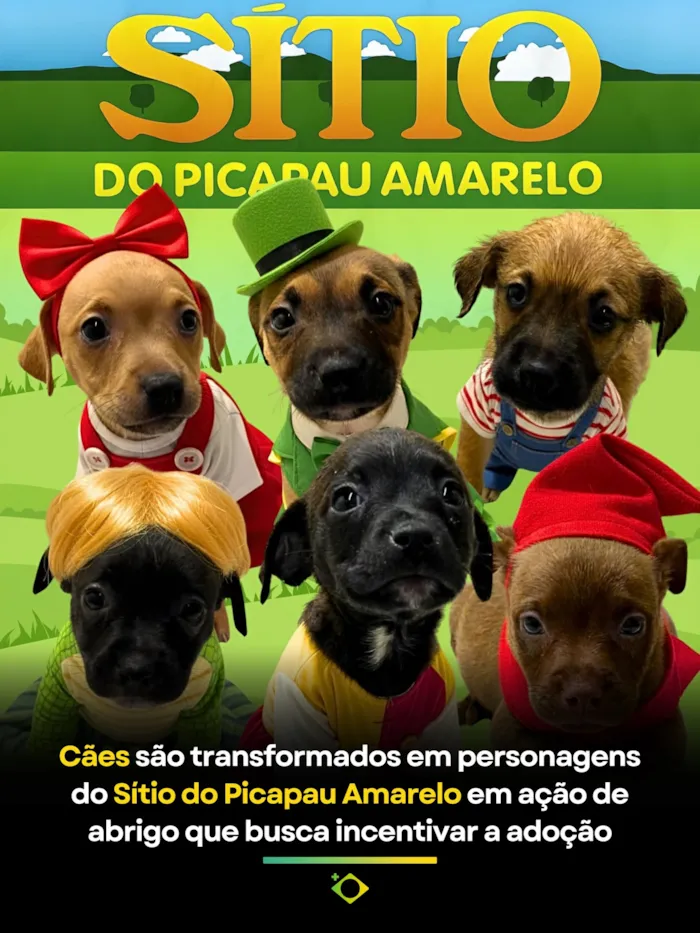 Descubra a adorável campanha em Caxias do Sul que transforma filhotes em personagens do Sítio do Picapau Amarelo para incentivar a adoção.