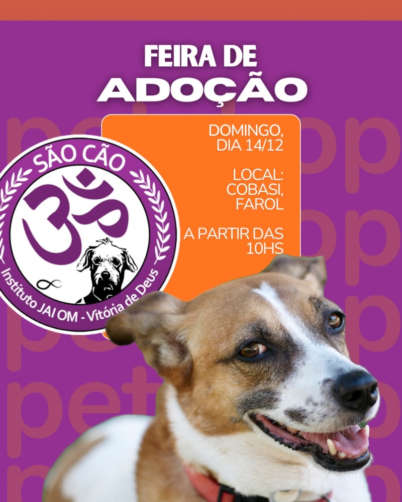 Feira de Adoção São Cão