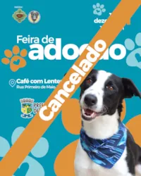Feira de Adoção Cancelada