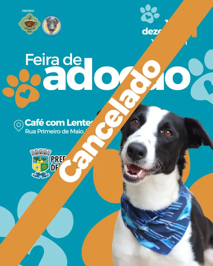 Feira de Adoção cancelada devido à chuva. Saiba como adotar um pet online ou por telefone.
