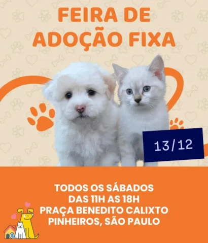 Feira de Adoção Fixa