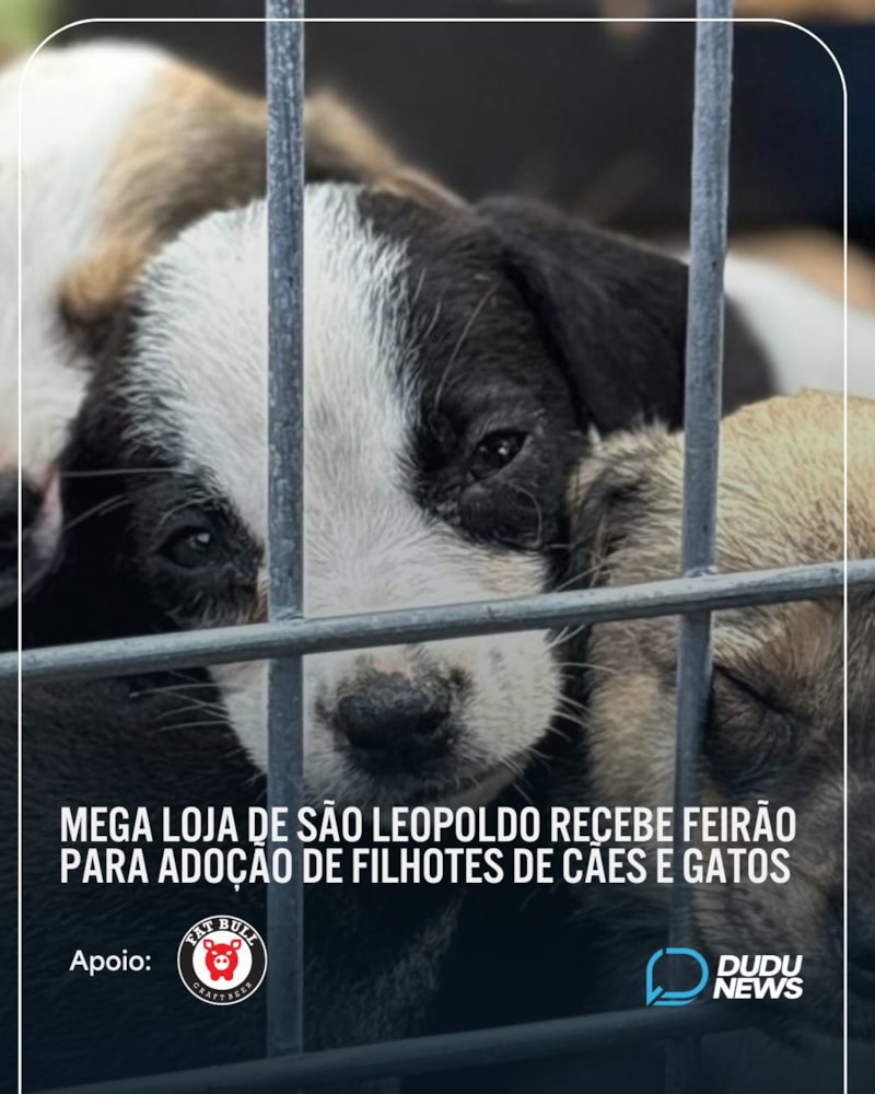 Participe do MEGA Feirão de Adoção de Filhotes de Cães e Gatos em São Leopoldo! Neste sábado, 13/12, das 12h às 17h, na Leroy Merlin.