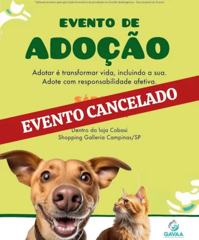 O evento de adoção marcado para este sábado foi cancelado devido ao mau tempo. Entre em contato pelo WhatsApp para adotar.