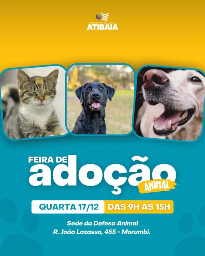 Feira de Adoção Animal em Atibaia