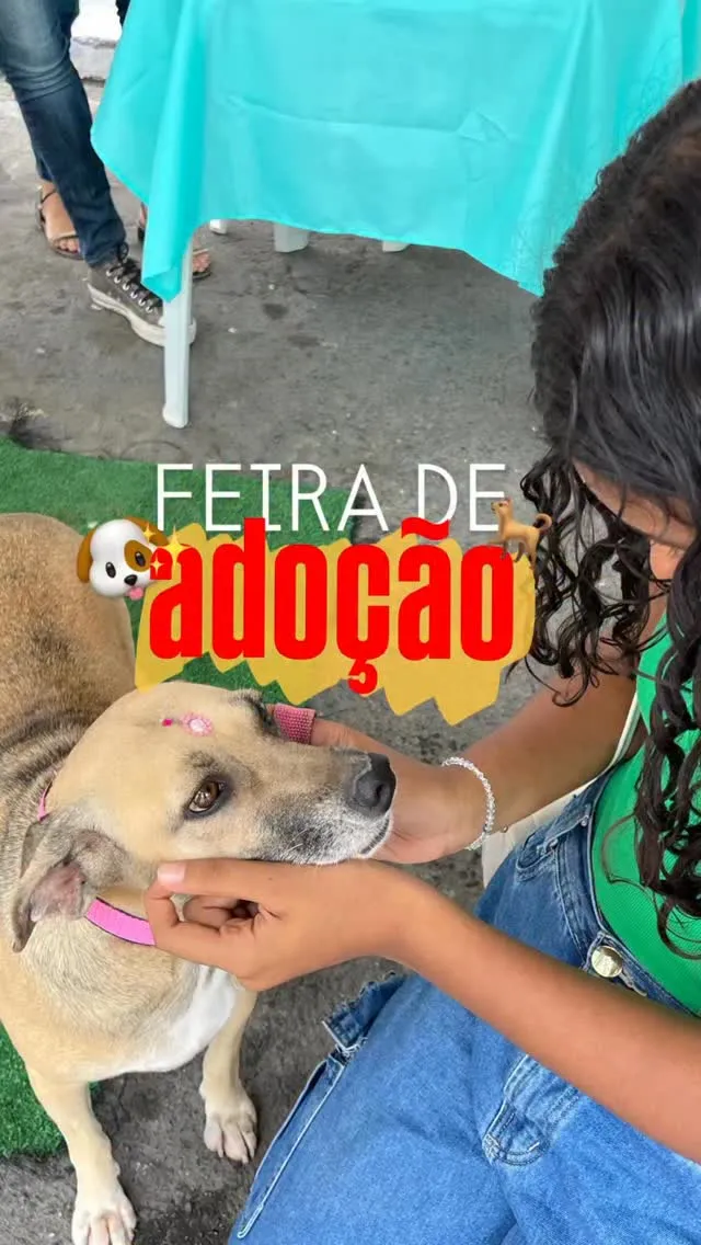 Feira de Adoção, Saúde e Conscientização Animal