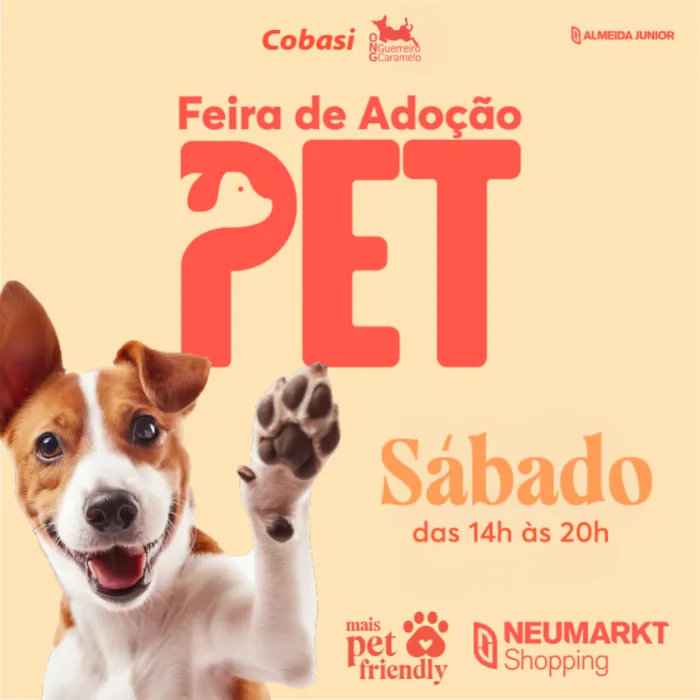 Feira de Adoção Pet