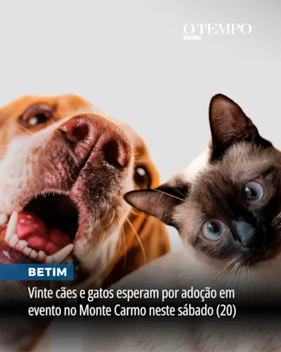 Evento de Adoção de Cães e Gatos em Betim