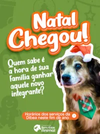 Adote um Novo Amigo Neste Natal!