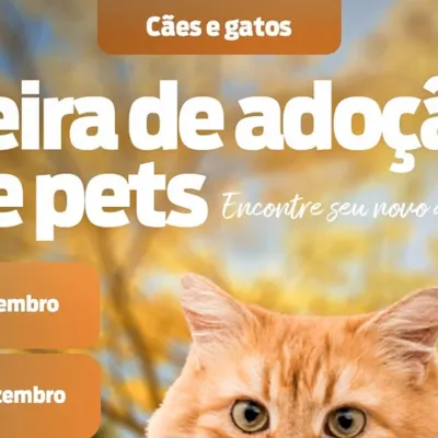 Feira de Adoção de Pets em Barueri