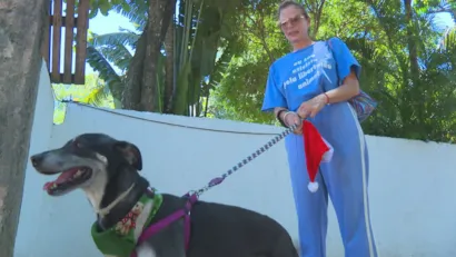 Campanha 'Leve um Indefeso para Passar o Natal' oferece adoção temporária de cães e gatos no Rio de Janeiro