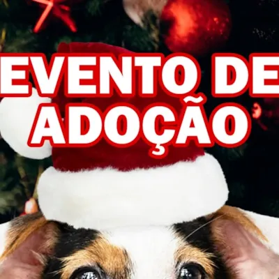 Evento de Adoção de Animais no RioMar Kennedy