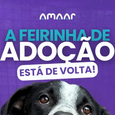 Feirinha de Adoção AMAAR