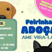 Feirinha de Adoção Ame Vira-Latas