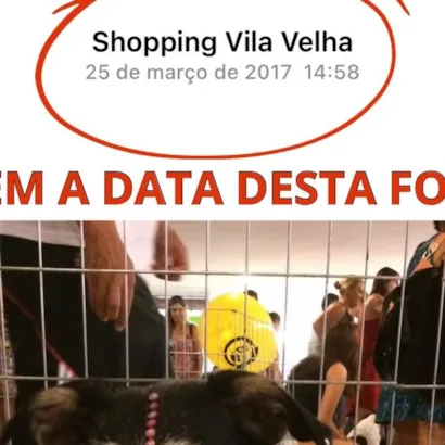 Adote a Andréa: Um lar para quem espera há mais de 10 anos