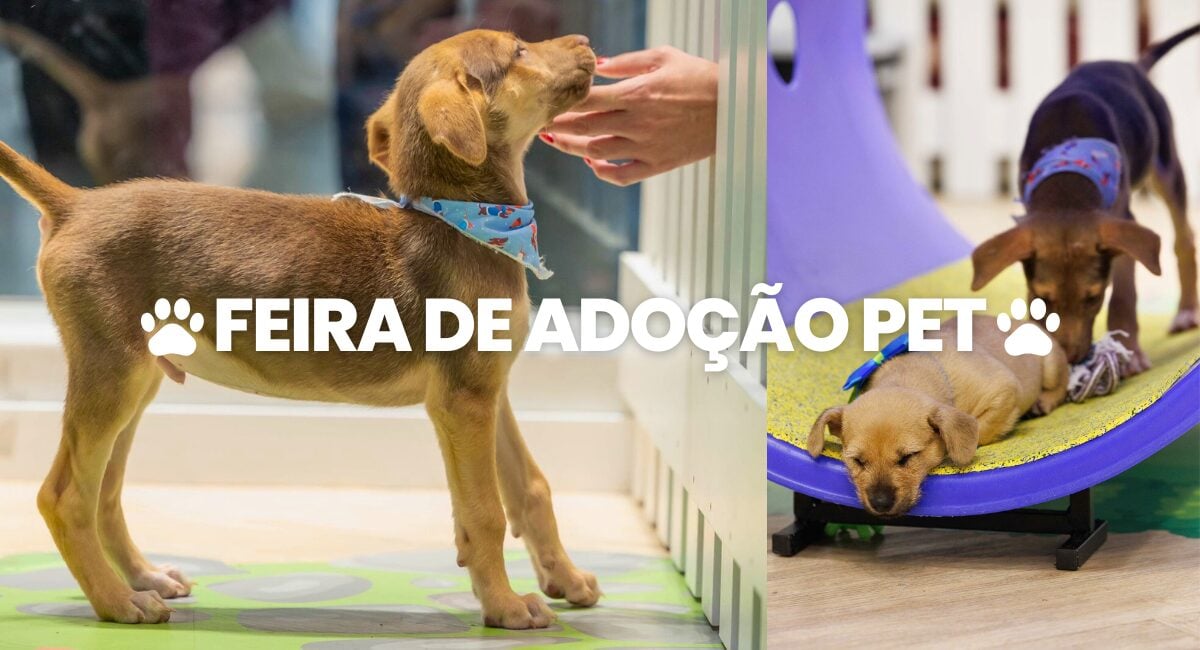 Feira de Adoção Pet no Neumarkt Shopping