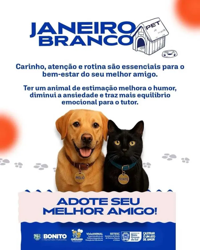 Adoção Responsável de Animais em Bonito