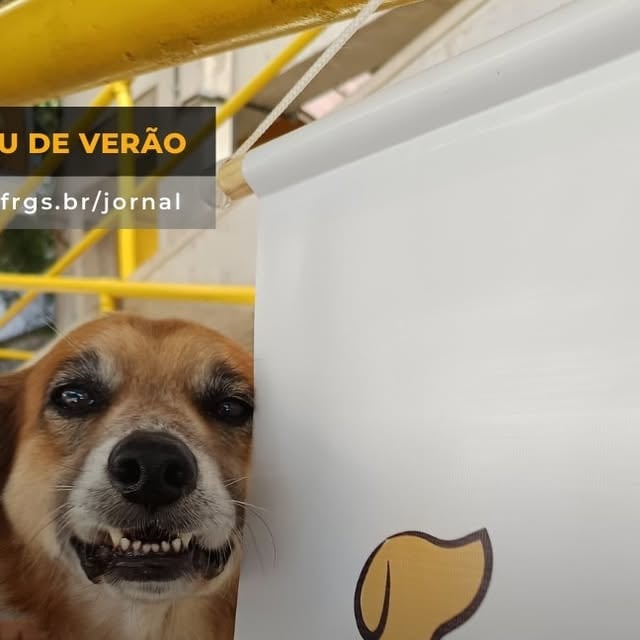 Contribua com a Causa Animal da UFRGS!