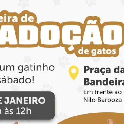 Feira de Adoção de Gatos em Santa Cruz do Sul