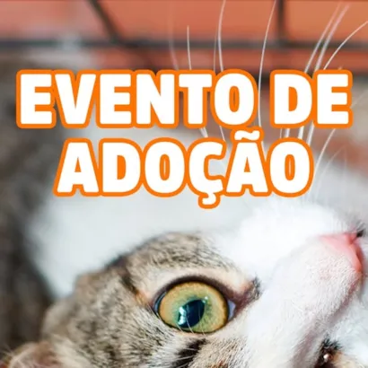 Evento de Adoção de Pets no RioMar Kennedy