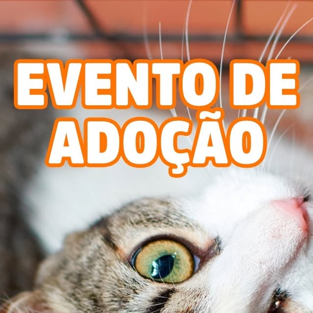 Evento de Adoção de Pets no RioMar Kennedy