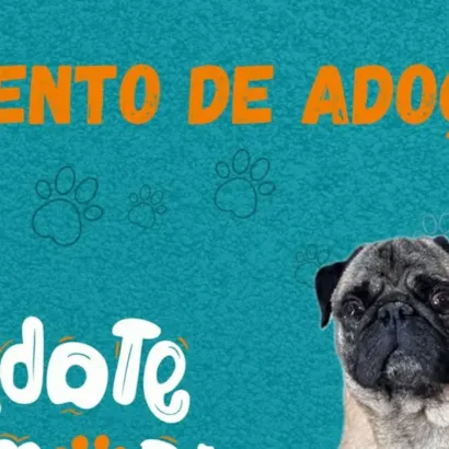 Evento de Adoção de Animais