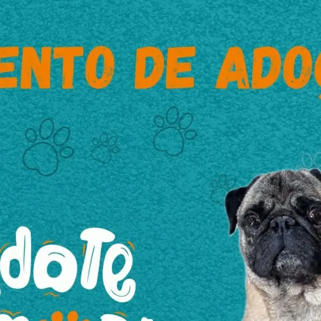 Evento de Adoção de Animais