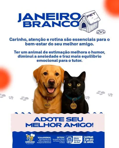 Adoção Responsável: Um Gesto de Amor que Promove Saúde e Bem-Estar