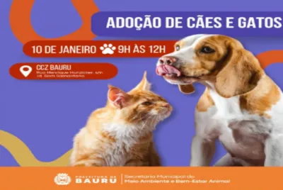 Evento 'Adote um Amigo' - Adoção de Cães e Gatos