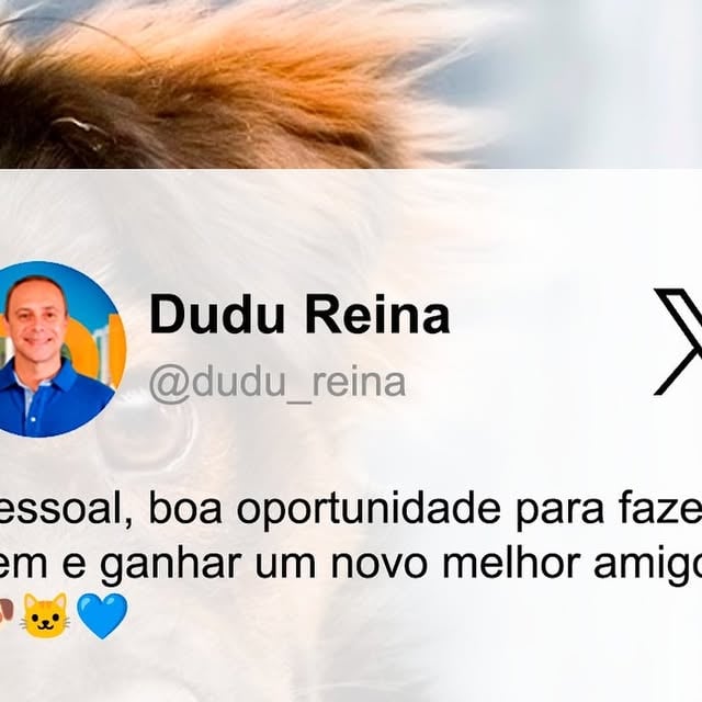 Campanha de Adoção de Pets no TopShopping