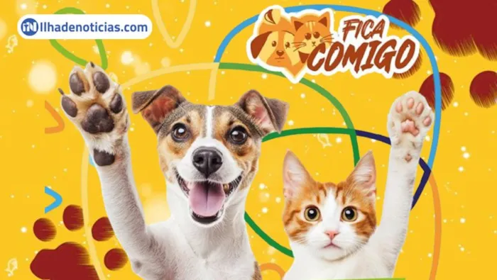 Feira de Adoção de Cães e Gatos em Ilha Solteira