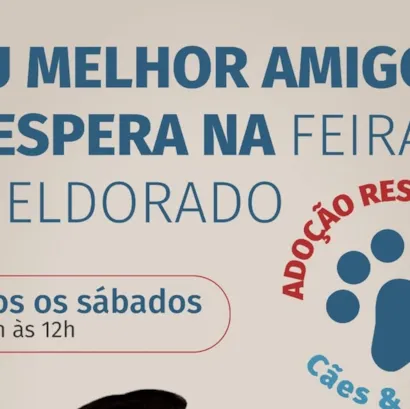 Feira de Adoção de Cães e Gatos na Feira do Eldorado