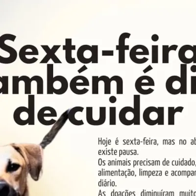 Campanha de Doação e Cuidado para Animais