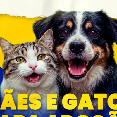 Feira de Adoção de Cães e Gatos