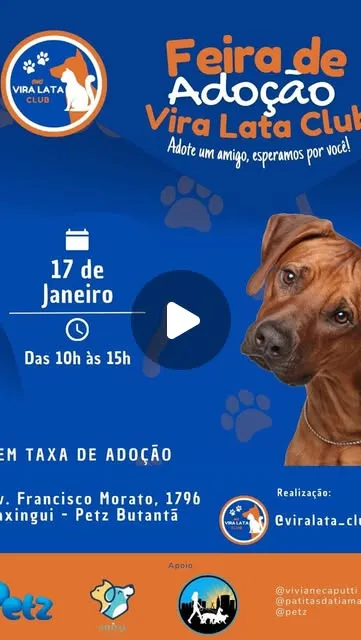 Feira de Adoção Vira Lata Club