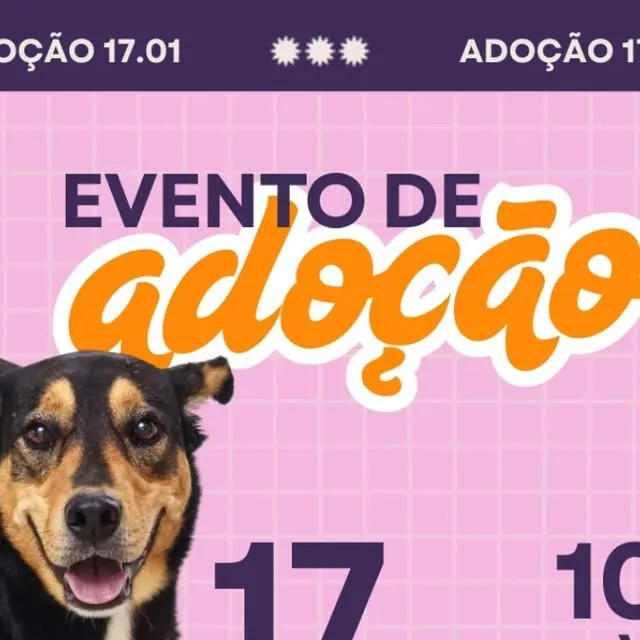 Evento de Adoção Chico Pata - Taubaté