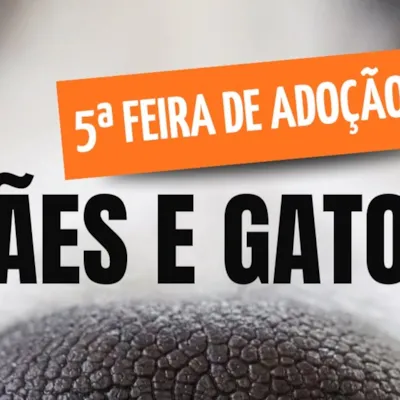 5ª Feira de Adoção de Cães e Gatos