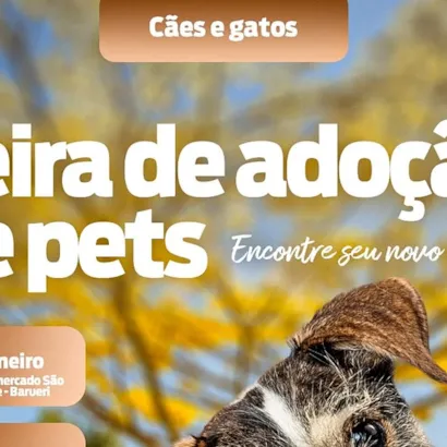 Feira de Adoção de Pets em Barueri