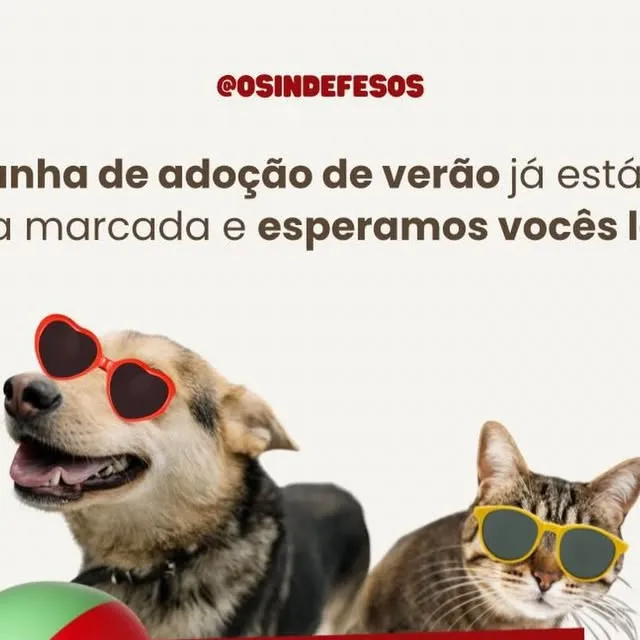 Campanha de Verão para Adoção de Animais