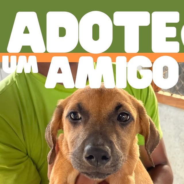 Adoção Responsável Muda Vidas!