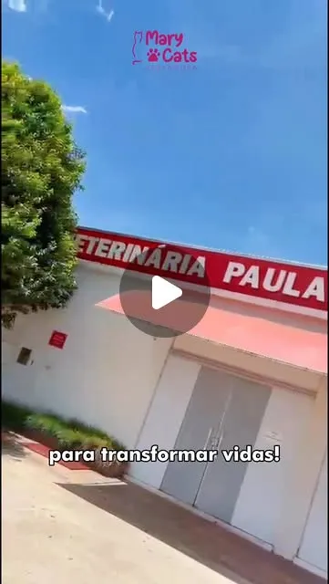 Evento de Adoção de Animais