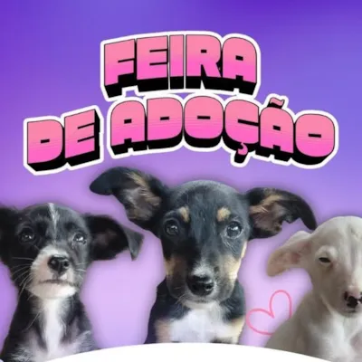 1ª Feira de Adoção de 2026
